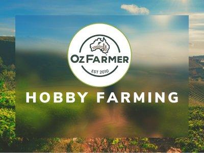 The Joys of Hobby Farming: A Beginner's Guide