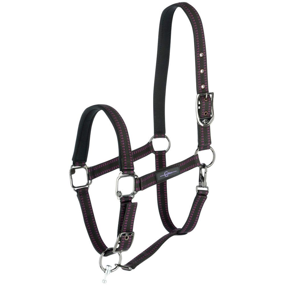 GoLeyGo Horse Halter cpt Sz4 Black/Fuch