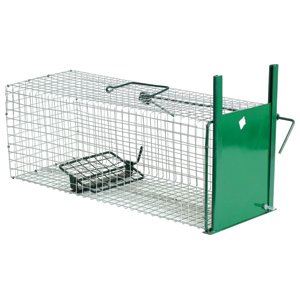 Metal trap to suit feral cats and possums