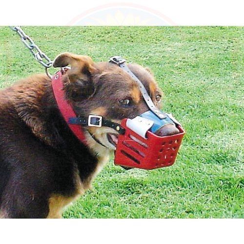 Lightweight Sheep Dog Muzzle