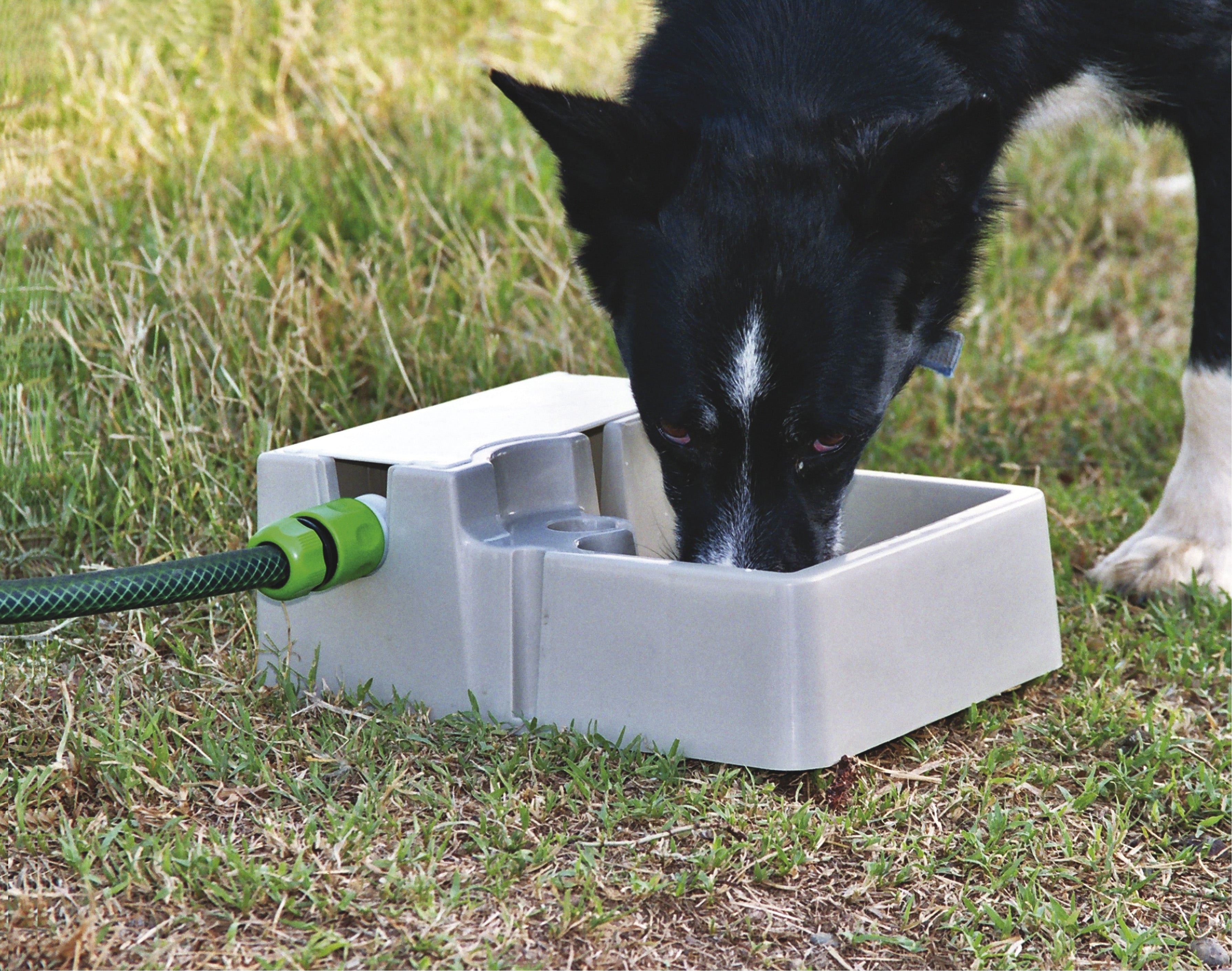 Automatic Pet Waterer Optional Hose Fitting Only