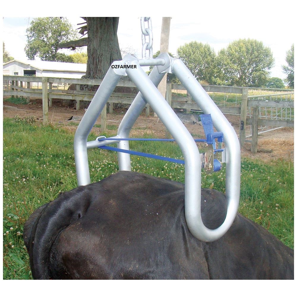 Cow Lifter Shoof Quick Lift