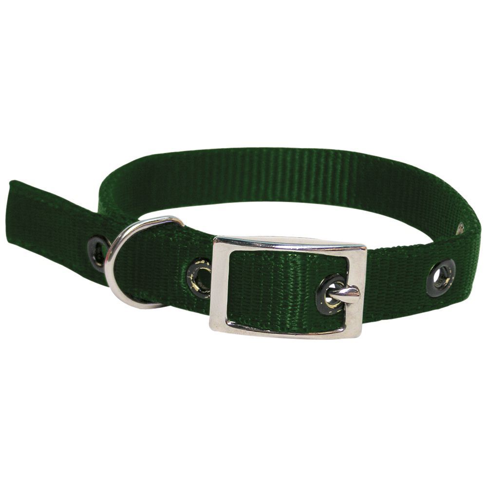 Goat Collar Nylon Doe GREEN