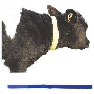 10x Calf Neck Identification Bands