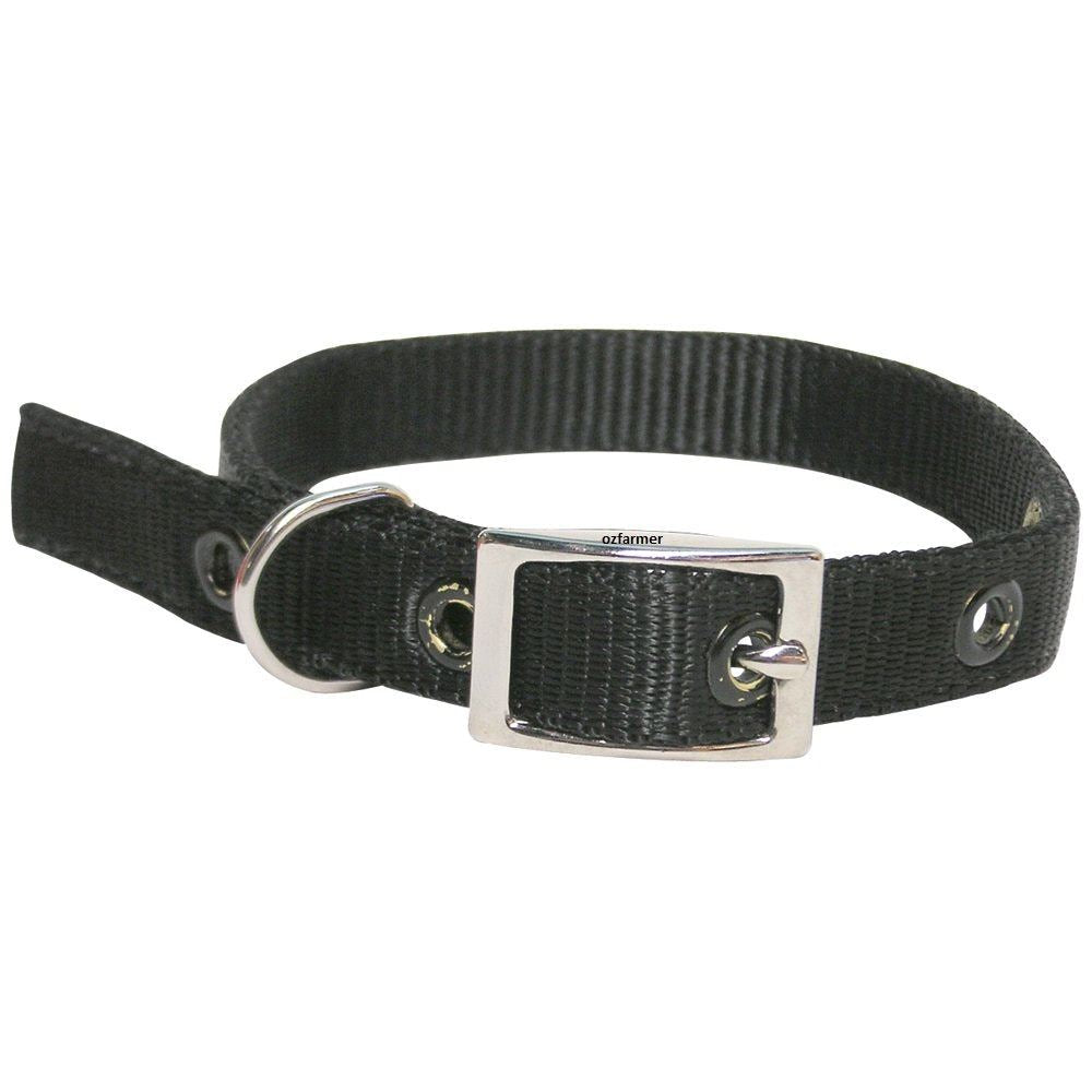 Goat Collar Nylon Doe BLACK