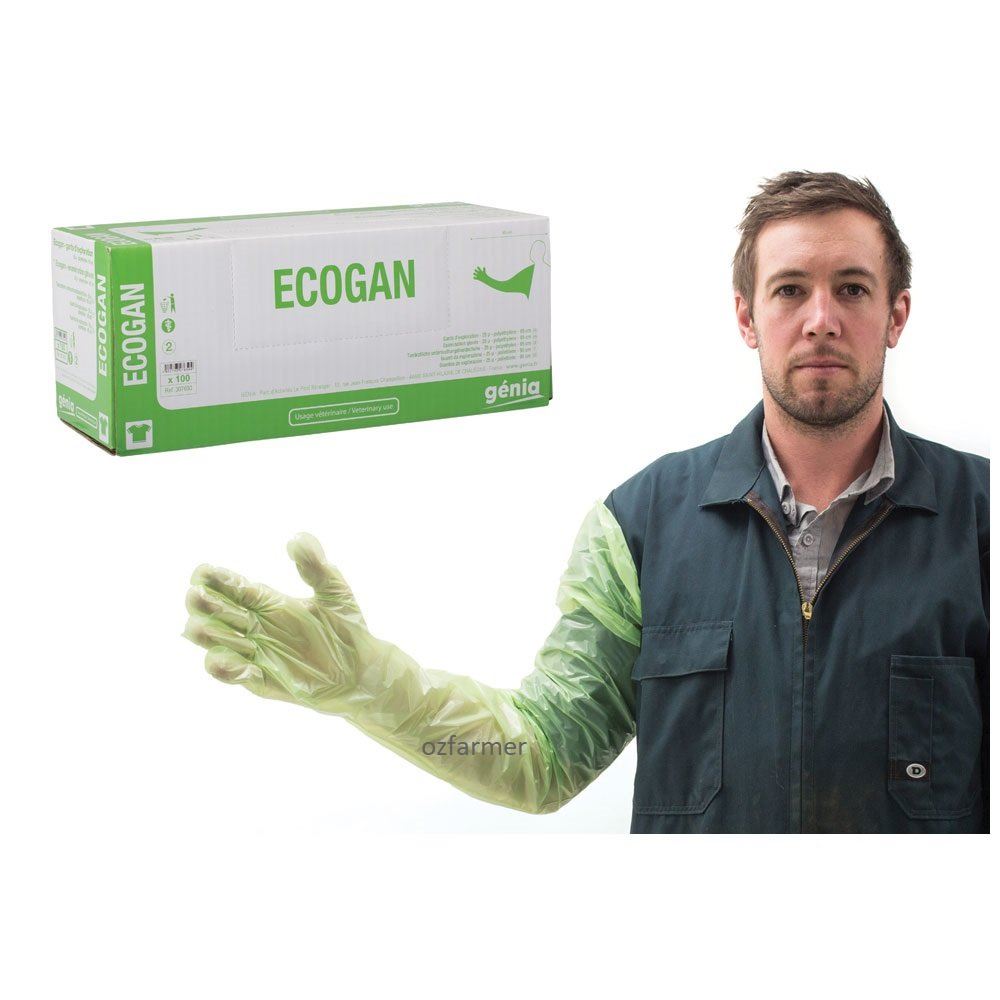 Gloves Exam Ecogan (green) 100-pk