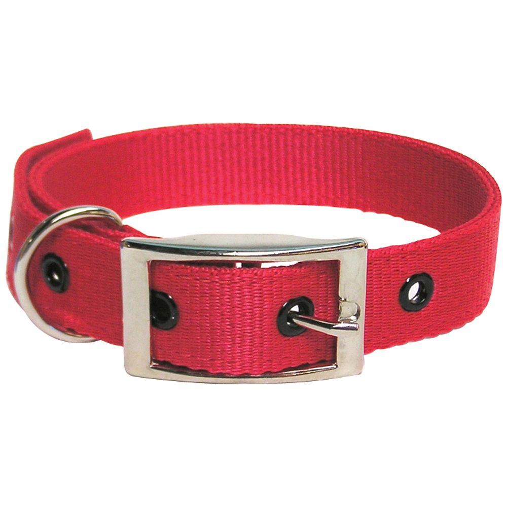 Goat Collar Nylon Kid RED