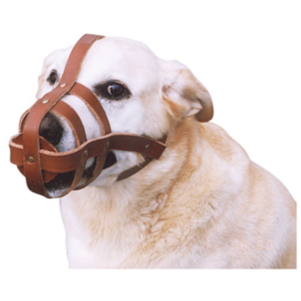 Dog Muzzle Leather Medium