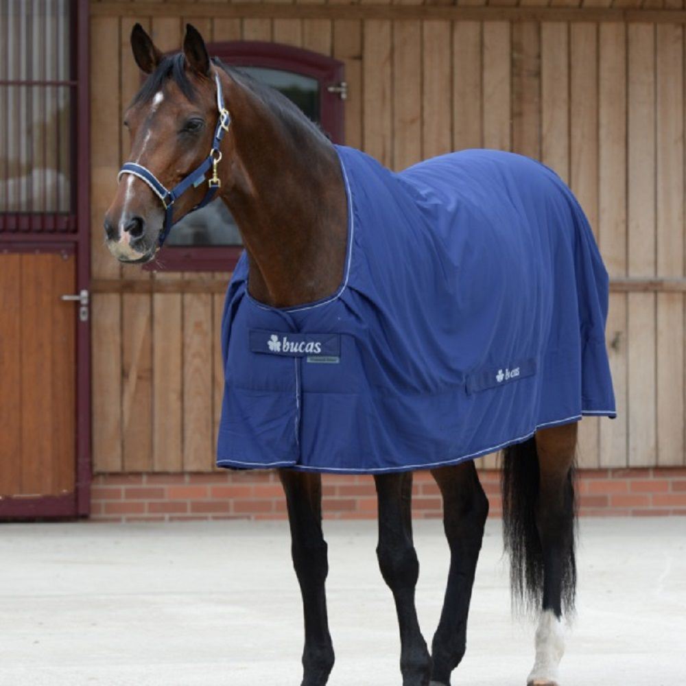 Bucas Cooler Shamrock Navy 115cm/5'0