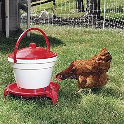 Optional Legs to suit 18l Poultry Drinker Bucket Waterer