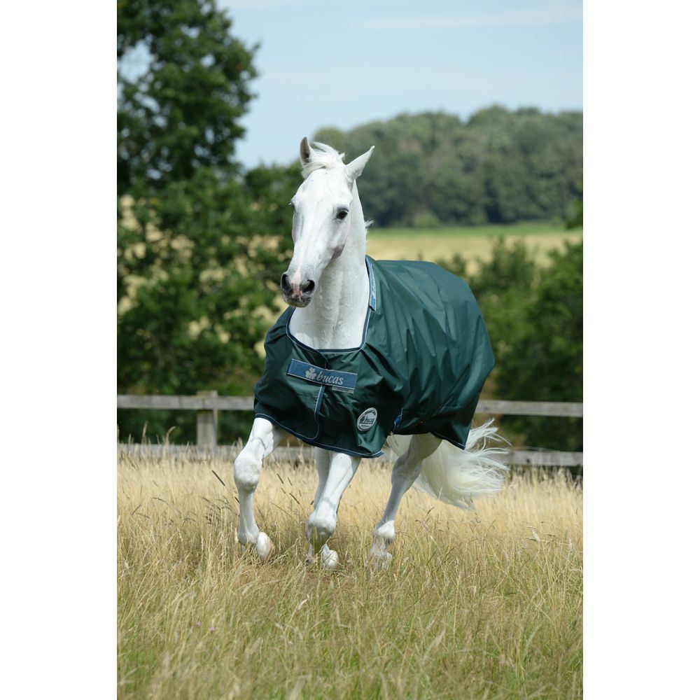 Bucas Rug GreenLine T/O 100g 140cm/6'3