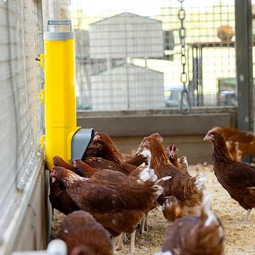 Bainbridge Chook Tower - Feeder & Drinker