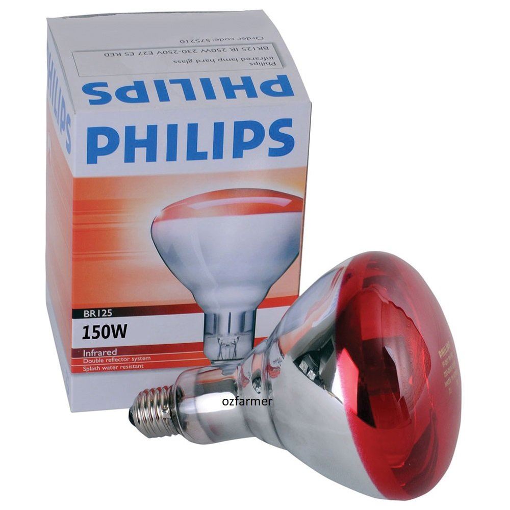 Phillips Red Infrared Brooder Lamp Globe Only 250W