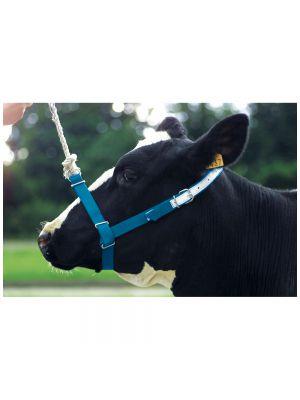 Cow Halter Webbing Leading or Tethering Heavy Duty - Blue