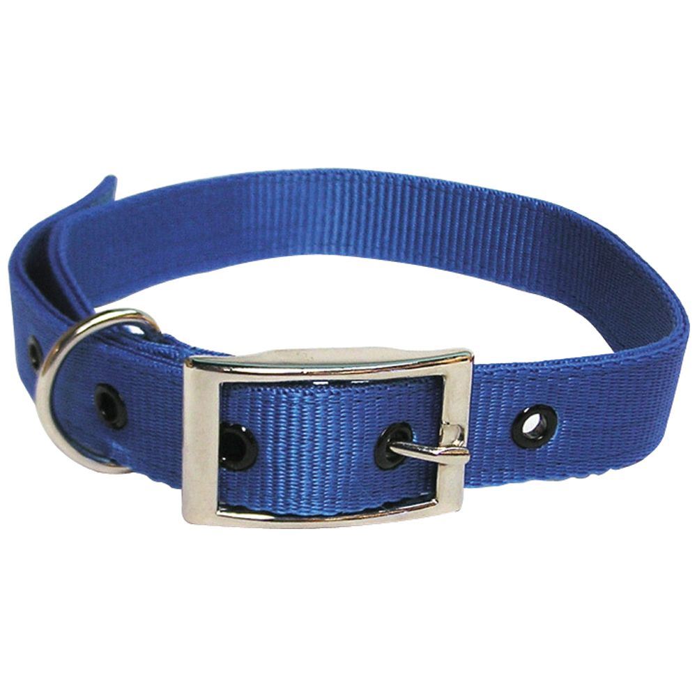 Goat Collar Nylon Buck BLUE