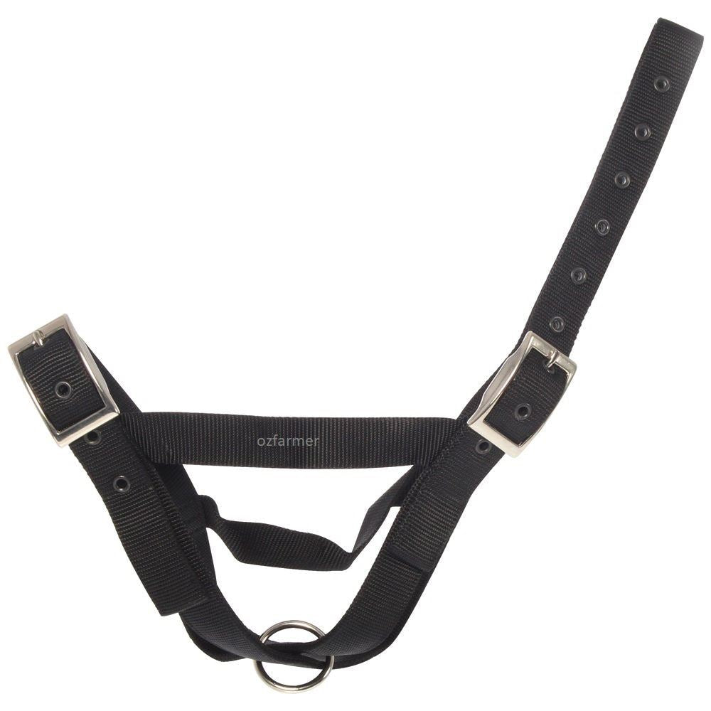 Tethering Halter Nylon Cow BLACK