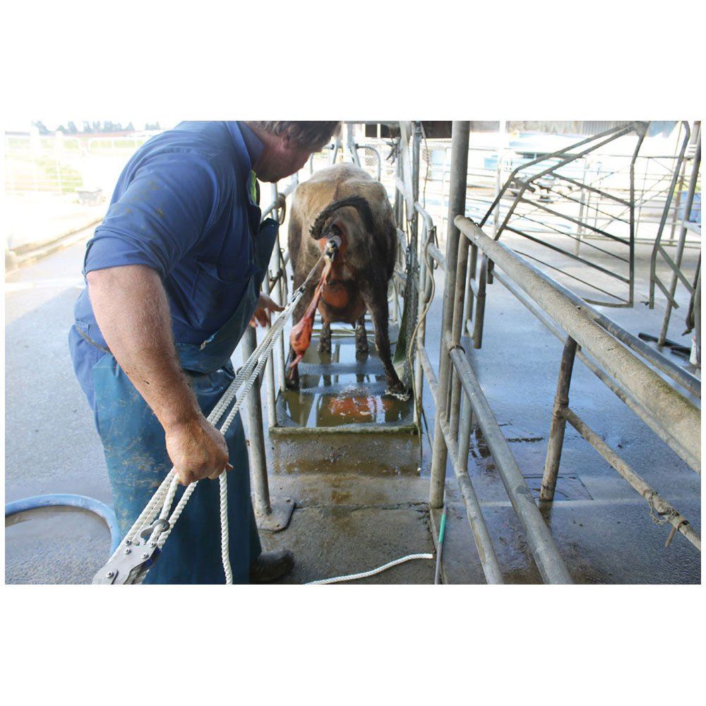 Fast-Lock Calving Pulley complete