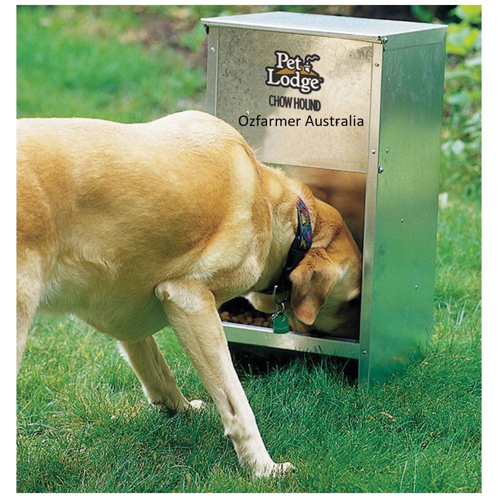 Chow Hound Dog Feeder Holds 11kg