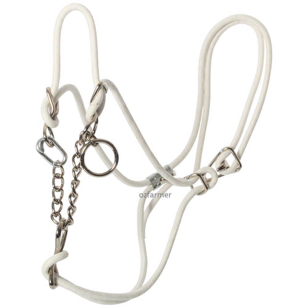 Hackamore Halter - White for Calf