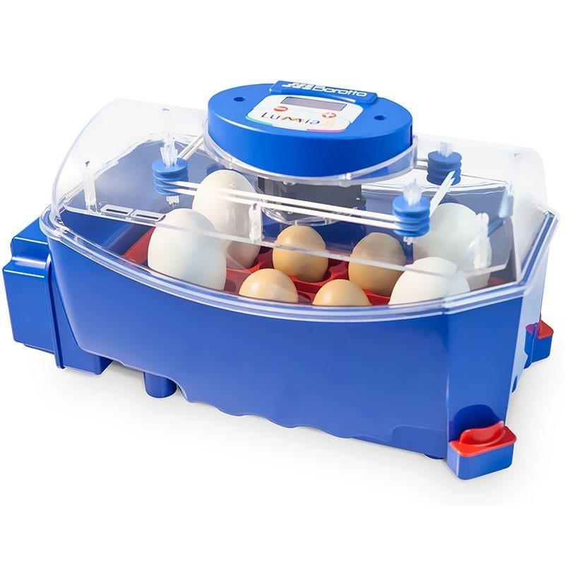 Automatic Incubator Lumia 8