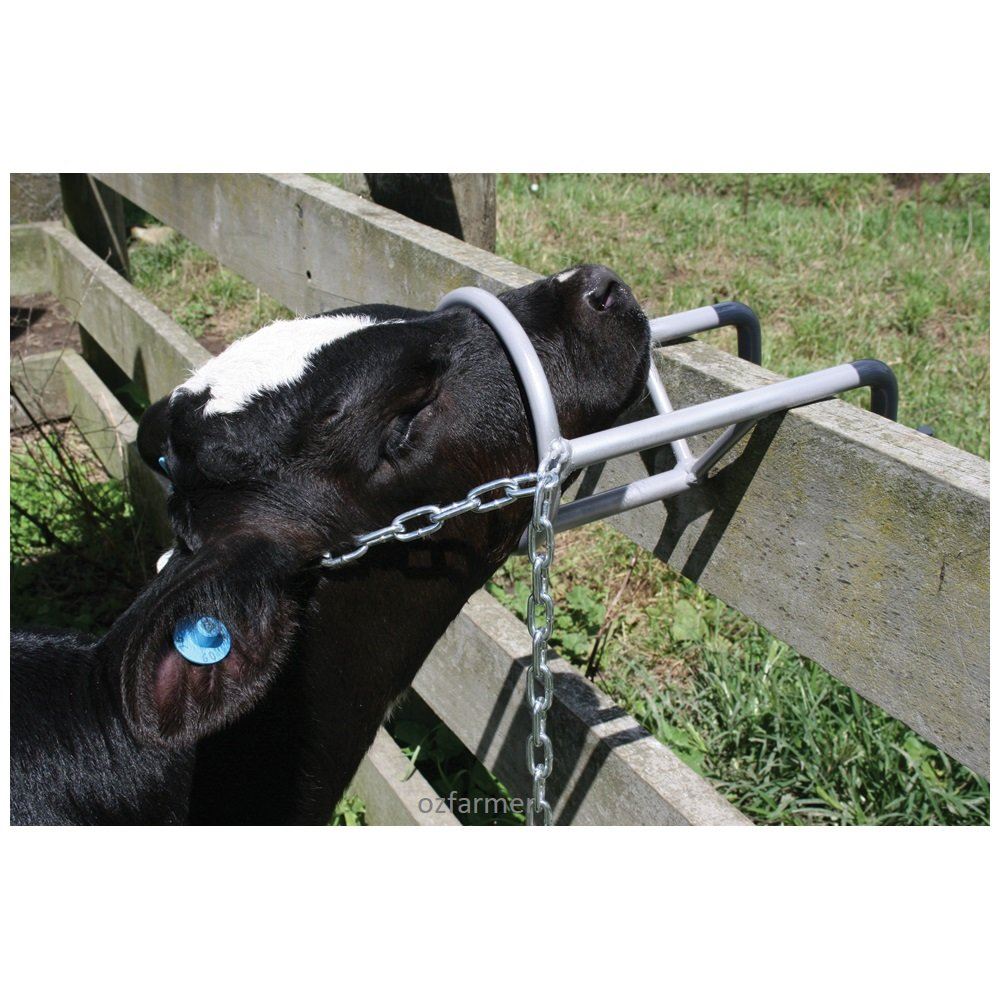 Calf Debudding Restrainer