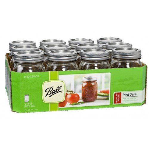 12  x Pint REGULAR Mouth Jar and Lid Ball Mason Case