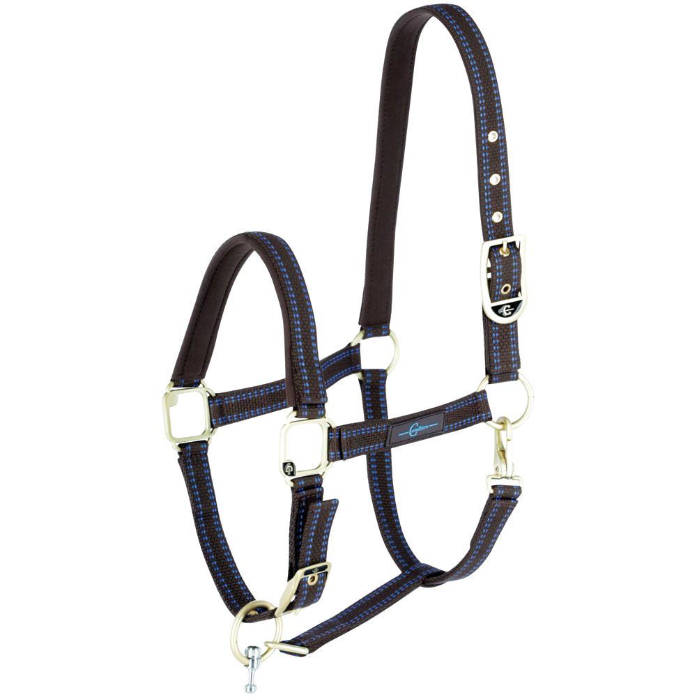 GoLeyGo Horse Halter cpt Sz3 Brown/LBlu